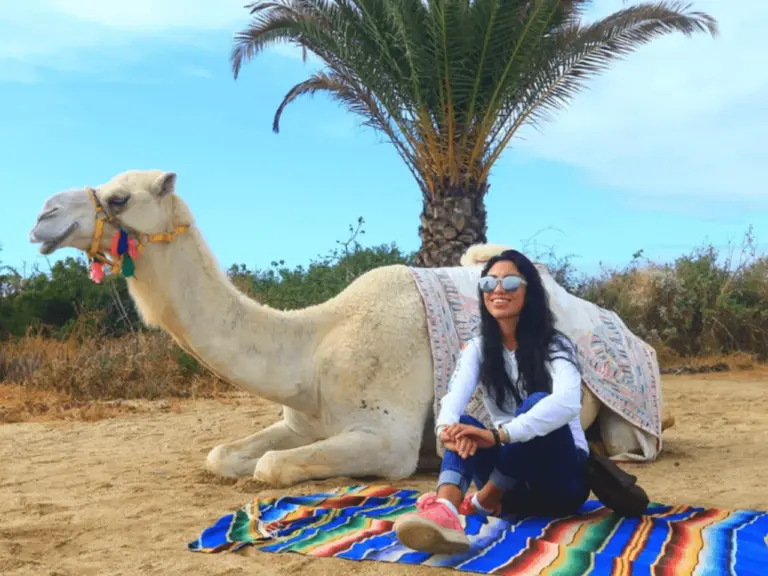 16. Desert Safari - Camello